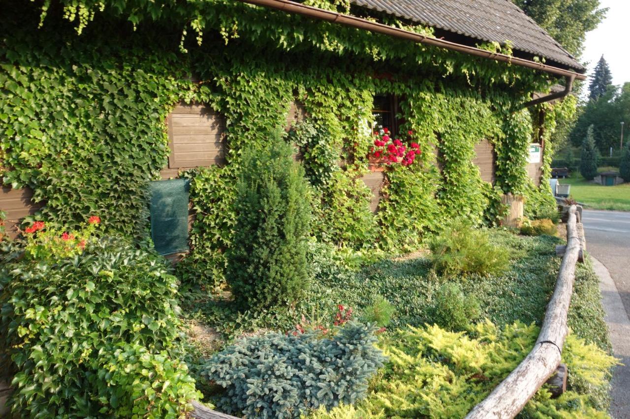 Pod Lípou Dolní Brusnice Exterior foto